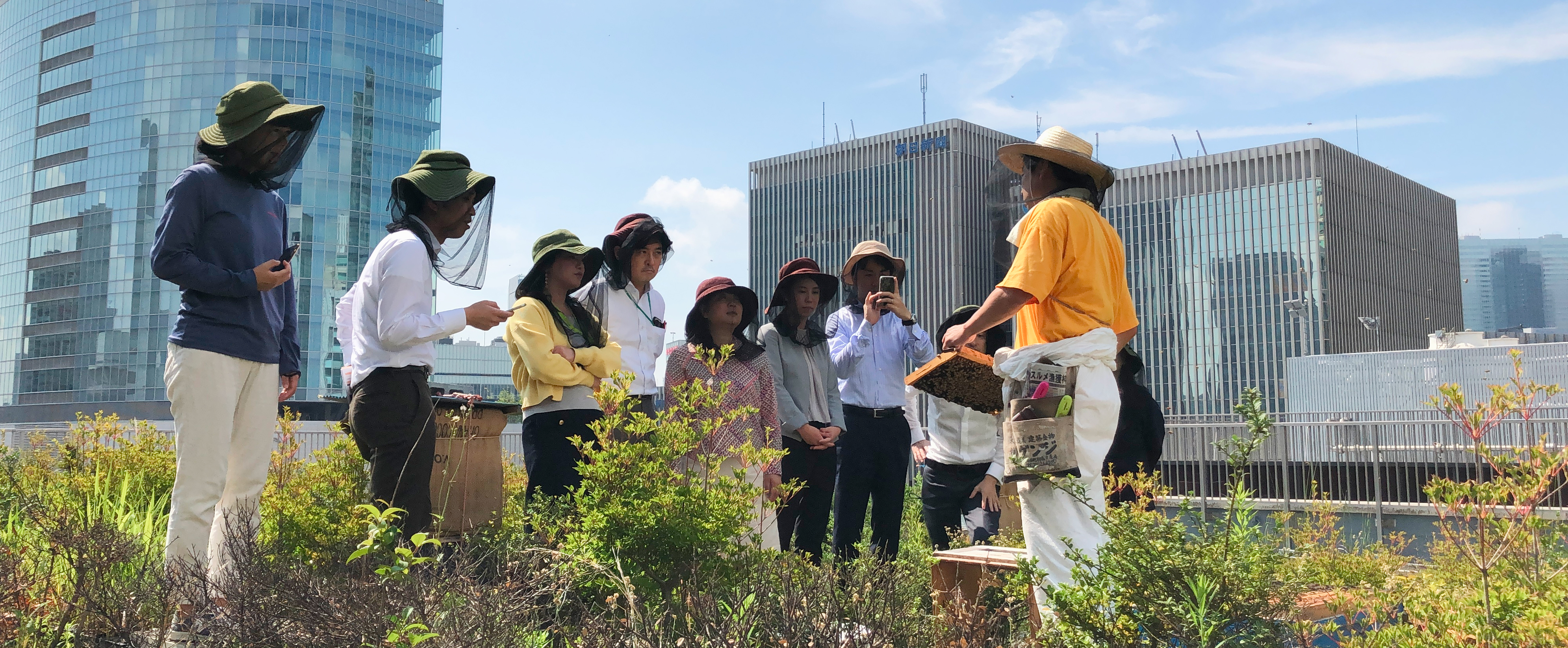 ビルの屋上での都市養蜂の様子