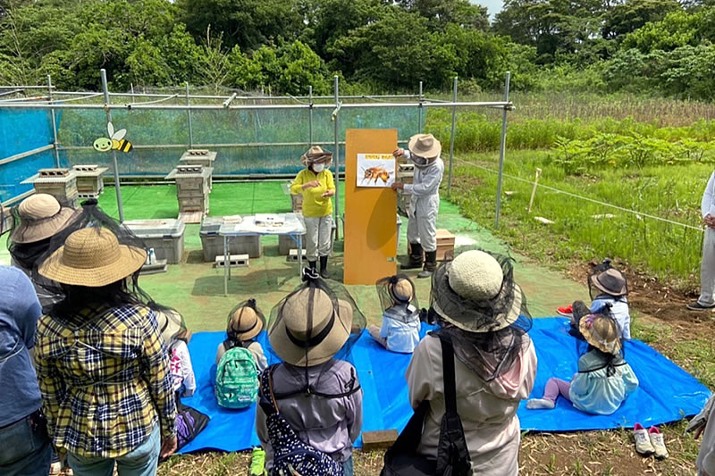 かしまミツバチプロジェクト活動の様子